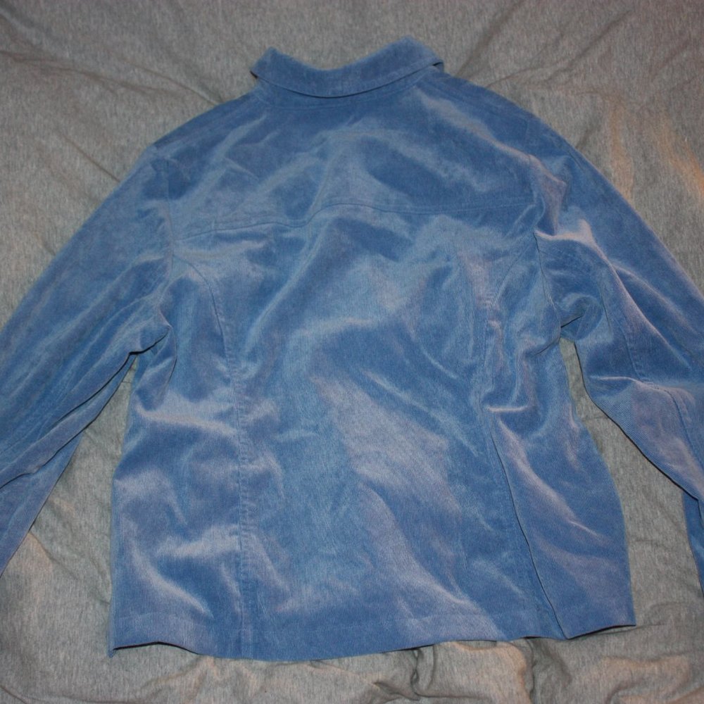 Blue, embroidery button down - Picture 3 of 4